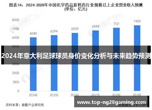 2024年意大利足球球员身价变化分析与未来趋势预测