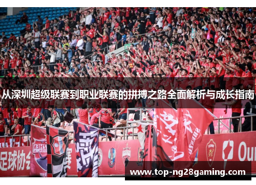 从深圳超级联赛到职业联赛的拼搏之路全面解析与成长指南