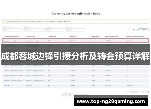 成都蓉城边锋引援分析及转会预算详解