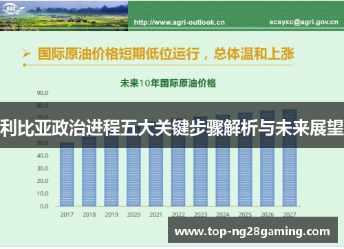 利比亚政治进程五大关键步骤解析与未来展望