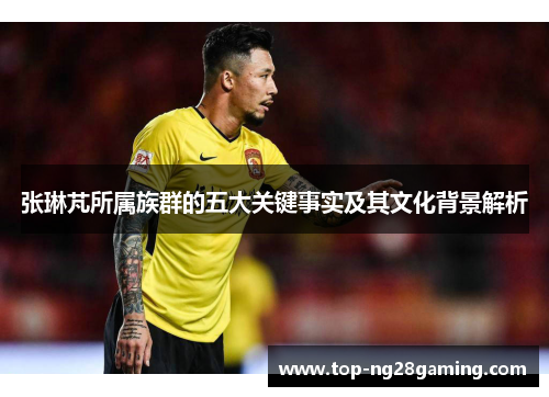 张琳芃所属族群的五大关键事实及其文化背景解析