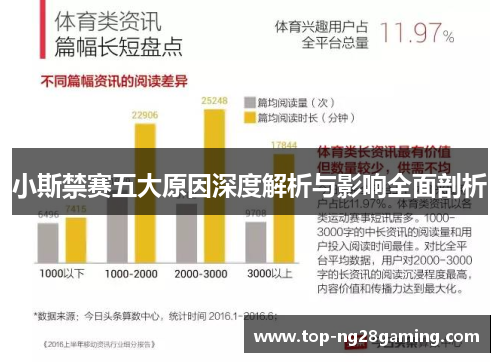 小斯禁赛五大原因深度解析与影响全面剖析
