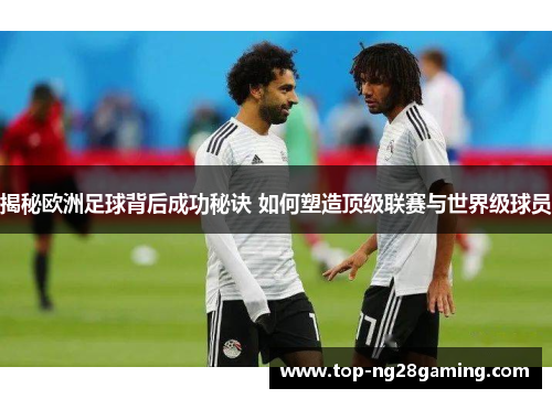 揭秘欧洲足球背后成功秘诀 如何塑造顶级联赛与世界级球员