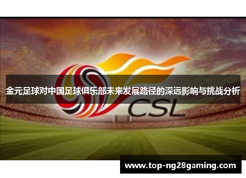 金元足球对中国足球俱乐部未来发展路径的深远影响与挑战分析