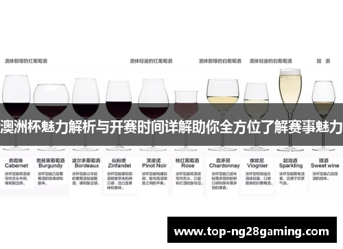 澳洲杯魅力解析与开赛时间详解助你全方位了解赛事魅力