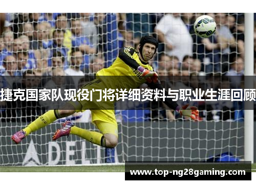 捷克国家队现役门将详细资料与职业生涯回顾